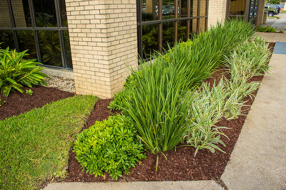 Landry's Landscape Portfolio